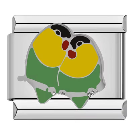 Papugi